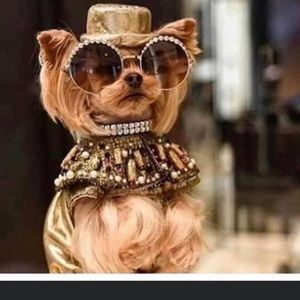 🎁🎁🎁 REVIEWS 🎁🎁🎁